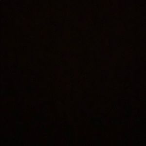 Meet your Posher, Csilla